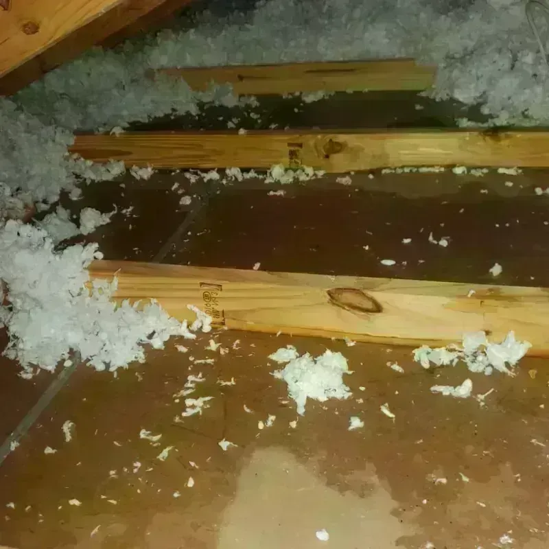 Attic Water Damage in Greenwood, MS