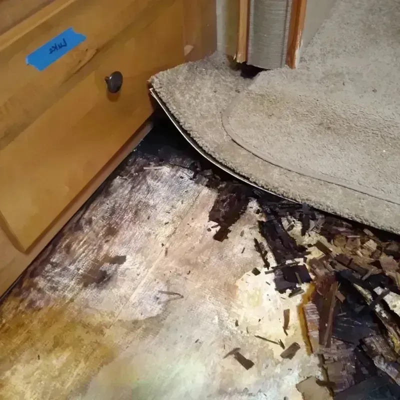 Best Wood Floor Water Damage Service in Greenwood, MS